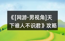 《[網(wǎng)游·男視角]天下誰人不識(shí)君》攻略