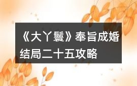 《大丫鬟》奉旨成婚結局二十五攻略