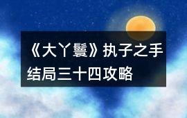 《大丫鬟》執子之手結局三十四攻略