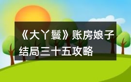 《大丫鬟》賬房娘子結局三十五攻略