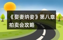 《娶妻納妾》第八章拍賣(mài)會(huì)攻略