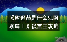 《尉遲恭是什么鬼：網(wǎng)聊篇Ⅰ》後宮王攻略