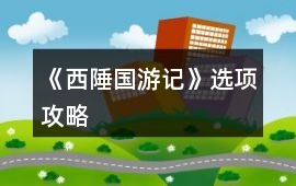 《西陲國游記》選項攻略