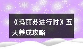 《瑪麗蘇進(jìn)行時(shí)》五天養(yǎng)成攻略