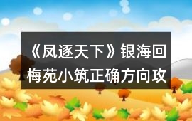 《鳳逐天下》銀海回梅苑小筑正確方向攻略
