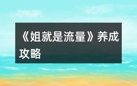 《姐就是流量》養成攻略