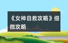 《女神自救攻略》細(xì)微攻略