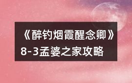 《醉釣煙霞醒念卿》8-3孟婆之家攻略