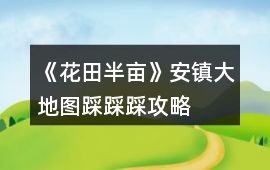 《花田半畝》安鎮大地圖踩踩踩攻略