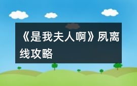 《是我夫人啊》夙離線攻略