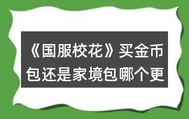 《國服?；ā焚I金幣包還是家境包哪個更劃算