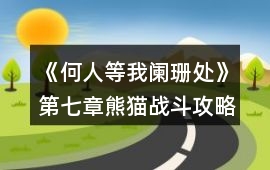 《何人等我闌珊處》第七章熊貓戰(zhàn)斗攻略
