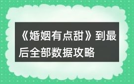 《婚姻有點甜》到最后全部數據攻略