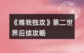 《唯我獨(dú)攻》第二世界后續(xù)攻略