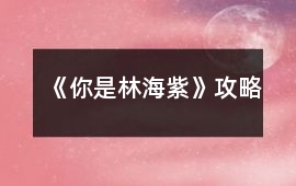 《你是林海紫》攻略