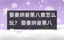 娶妻納妾第八章怎么玩？ 娶妻納妾第八章攻略