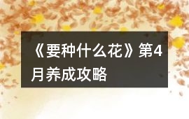 《要種什么花》第4月養(yǎng)成攻略