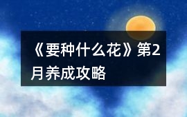 《要種什么花》第2月養成攻略