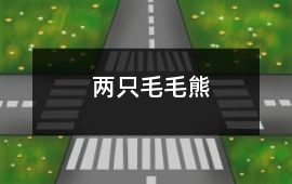 兩只毛毛熊