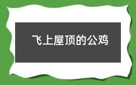 飛上屋頂的公雞