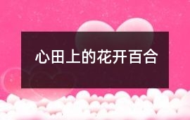 心田上的花開百合