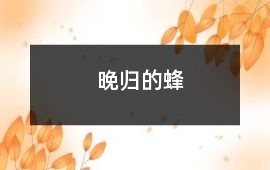 晚歸的蜂