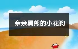 親親黑熊的小花狗