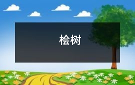 檜樹(shù)