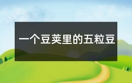 一個(gè)豆莢里的五粒豆