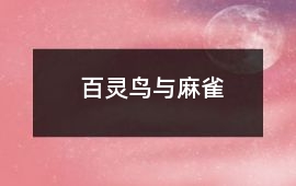 百靈鳥與麻雀