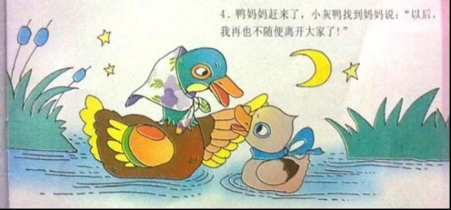 小鴨子找媽媽