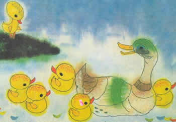 小鴨學游泳